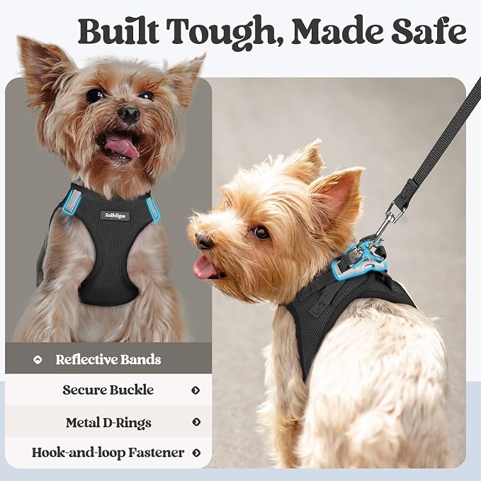 rabbitgoo Dog Harness Small Sized and Leash Set, Step-in Puppy Pet Vest | Light, Soft, Breathable Air Mesh, Easy on and Remove with Hook & Loop, Secure Reflective for Walking, Black M - Image 5