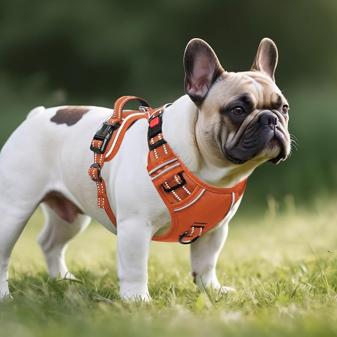 Timos Dog Harness Small Sized, Neck Quick Release with 3 Buckles, Orange, S | Easy On & Off, No Pull No Choke, Adjustable Reflective Soft Padded, Front & Back 2 Clips and Handle for Walking Training - Image 6