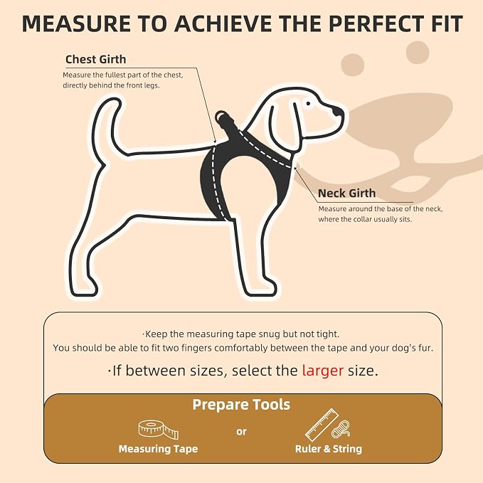 PUPTECK Dog Harness, Collar and Leash Set No Pull for Small Medium Sized | Plaid Puppy Step-in Escape Proof Reflective No Choke Pet Cat Adjustable Walking Vest - Image 2
