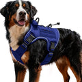Heavy-Duty Tactical Dog Harness for Large Dogs, No Pull Adjustable Reflective Pet Vest with Molle System, K9 Military-Grade Control for Service Training, Outdoor & 10+ Breeds, Dazzling Blue, XX-Large by Bruvoalon