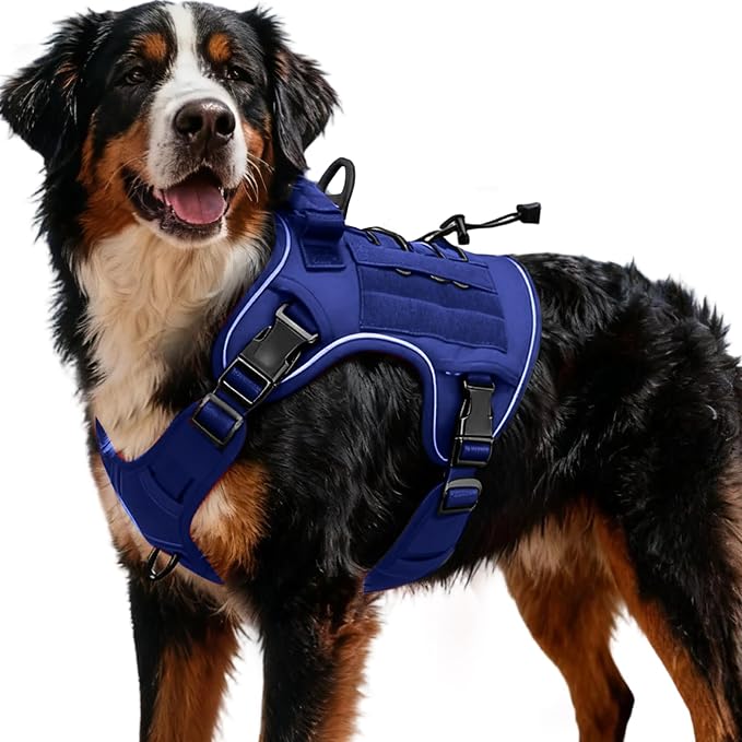 Heavy-Duty Tactical Dog Harness for Large Dogs, No Pull Adjustable Reflective Pet Vest with Molle System, K9 Military-Grade Control for Service Training, Outdoor & 10+ Breeds, Dazzling Blue, XX-Large by Bruvoalon