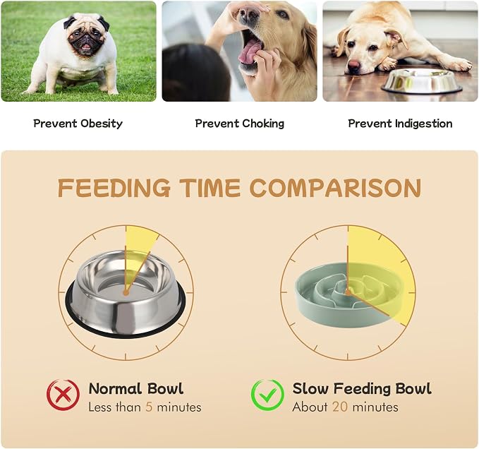 Havniva Elevated Slow Feeder Dog Bowls, Ceramic Dog Bowl Slow Feeder Set | 0.9 Cups Raised Slow Feeder Dog Bowl for Small Breed, 6.1” Dog Water Bowl with Wooden Stand, Puzzle Dog Food Bowl, Non-slip - Image 5
