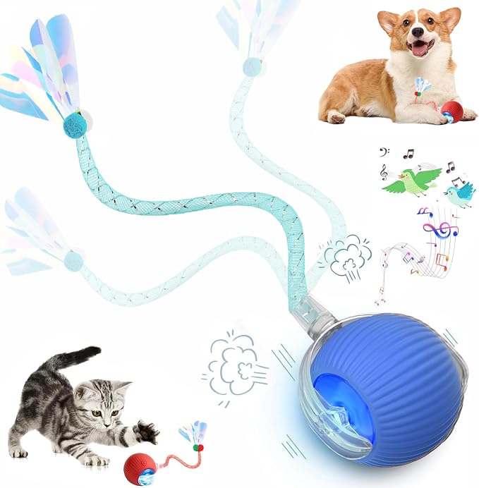 Speed 2.0 Tail Interactive Cat Toys for Indoor Cats, Moving Cat Toy | Chirping & Motion Activate Cat Toy, Smart Kitten Toys Rolling Ball Moving Ball, Electric Dog Cat Ball for Enrichment Exercise by Unknown
