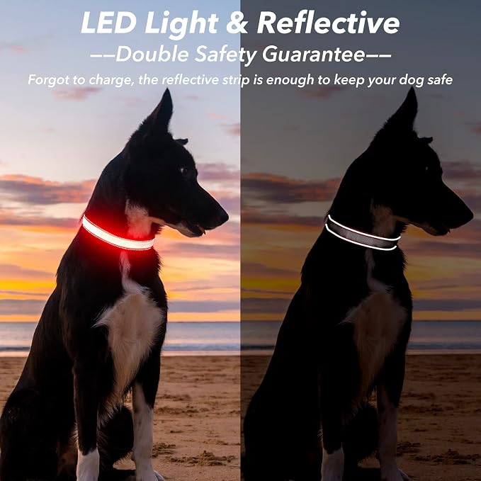 Visinite LED Dog Collar USB Rechargeable, Reflective Light Up Pet Collar for Night Walking, Adjustable Glow Collar for Small Medium Large Dogs(Red, M) - Image 2