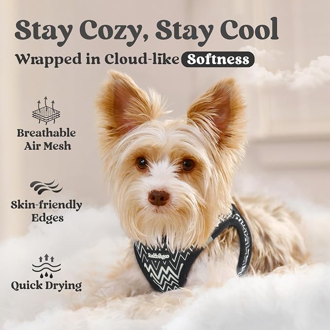rabbitgoo Step-in Small Dog Harness, Puppy Vest for Small Sized Pet | Easy Put on and off, Lightweight, Soft, Breathable Quick-Dry Air Mesh for Comfortable Secure Walking, Black Zigzag XS - Image 3
