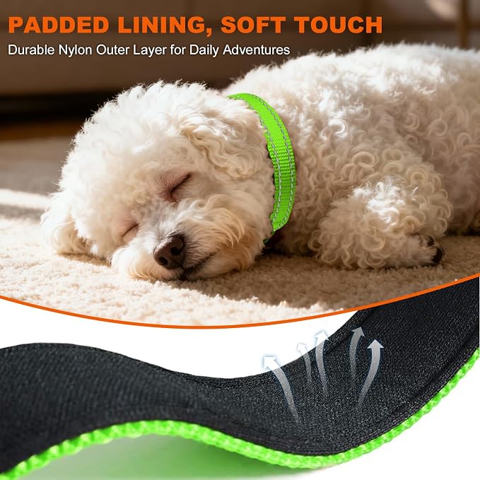 Taglory Reflective Dog Collar for Puppies, Gentle and Safe for Night Walks | Night-Walk Visibility, Soft Neck Cushioning, Adjustable 8-12 in, Locking Buckle, D-Ring for Leash and ID Tags - Image 4