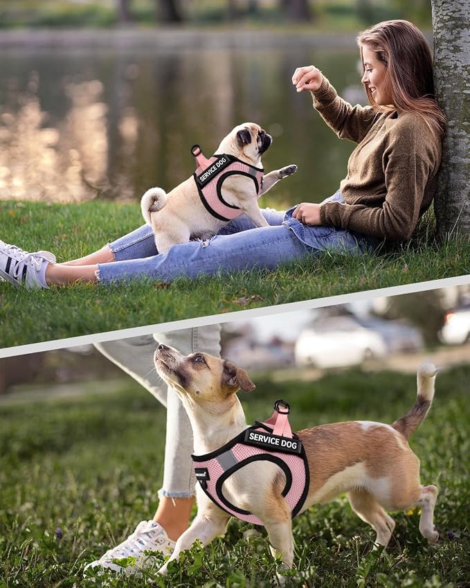 FAYOGOO Service Dog Vest Set for Small Dogs, Mesh Harness and Leash | Lightweight step-in vest with leash and removable identification patches; measure neck and chest before choosing a size - Image 5
