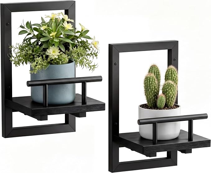 Sbosbo Floating Shelves for Wall Plant Shelf Indoor Wall Mounted Shelves | Wall Planters for Indoor Floating Plant Shelves for Bedroom, Living Room, Kitchen, Office, Bathroom Decor (Black, 2 Pack) by SBOSBO
