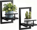 Sbosbo Floating Shelves for Wall Plant Shelf Indoor Wall Mounted Shelves | Wall Planters for Indoor Floating Plant Shelves for Bedroom, Living Room, Kitchen, Office, Bathroom Decor (Black, 2 Pack) by SBOSBO