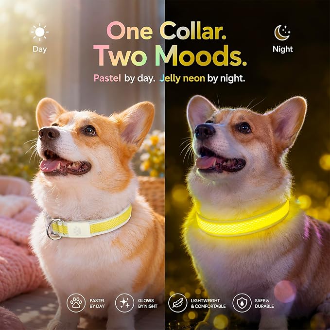 Multicolor LED Dog Collar USB-C Rechargeable, Light Up Dog Collar, Rainbow Gradient Glowing Dog Collar with 4 Light Modes, Adjustable Candy Mesh Pet Collar(Yellow, Small) - Image 5