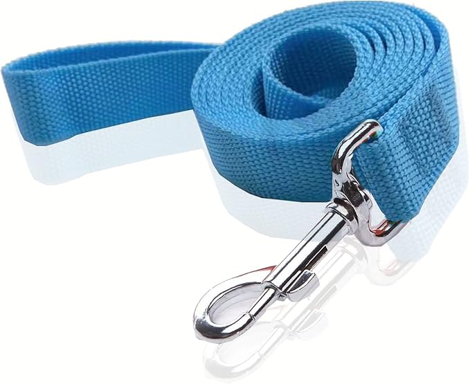 Nylon Dog Leash 4 Ft 5 Feet 6 Foot Long, Walking Training Dog Leashes for Medium Large Dogs, 1 Inch Wide (3/4" X 6 ft, Blue) by SALO