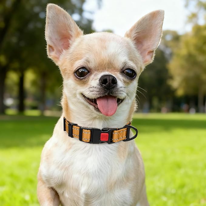 Taglory Reflective Dog Collar for Puppies, Gentle and Safe for Night Walks | Night-Walk Visibility, Soft Neck Cushioning, Adjustable 8-12 in, Locking Buckle, D-Ring for Leash and ID Tags - Image 2