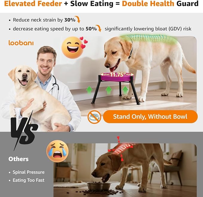 LOOBANI Elevated Dog Bowl Stand Adjustable 8.2"-11" Width for Large Seniors | for Senior & Arthritic Dogs, Reduces Neck Strain, Non-Slip Rubber Feet, Rust-Proof Stand, Easy Clean - Image 4
