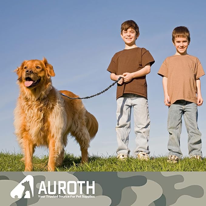 AUROTH Heavy Duty Bungee Dog Leash for Shock Absorption - 6FT Black Training Leash with 2 Padded Handles for Medium Large Breed Dogs - Image 7