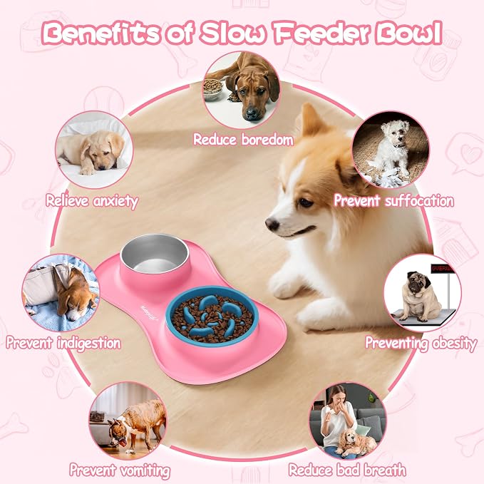 MateeyLife Dog Food and Water Bowl Set 3 in 1, Slow Feeder Dog Bowls & Stainless Steel Water Bowl with Non-Spill Silicone Mat, Cat and Puppy Bowls Pet Dishes for Small Medium Large Breed Anti-Choking - Image 3