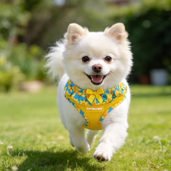 EXPAWLORER Step-in Dog Harness Small Sized and Leash Set | Cute Small Dog Harness No Pull Girl, Breathable Soft Mesh Padded, Adjustable Light Puppy Vest for Dogs Cats, Daffodil S - Image 9