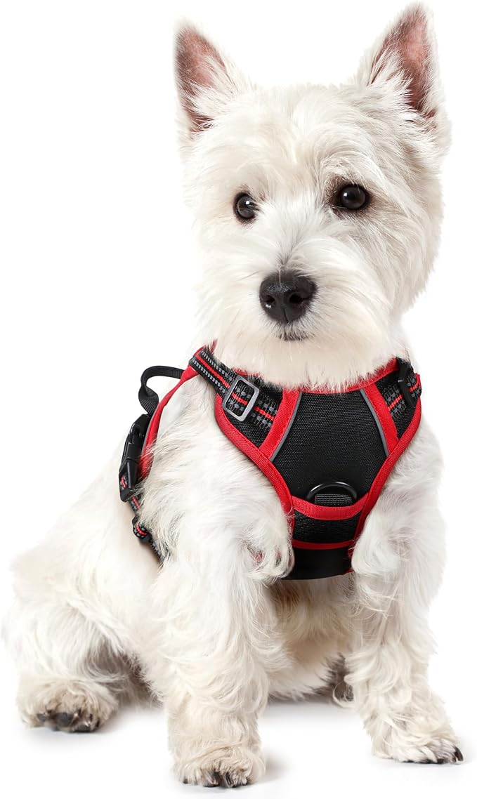 rabbitgoo Dog Harness, No Pull for Small Dogs with 2 Leash Clips, Pet Vest | No Choke with Handle, Adjustable Soft Padded, Reflective, Easy Control for Walking, Black & Red, X-Small by rabbitgoo