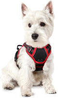 rabbitgoo Dog Harness, No Pull for Small Dogs with 2 Leash Clips, Pet Vest | No Choke with Handle, Adjustable Soft Padded, Reflective, Easy Control for Walking, Black & Red, X-Small by rabbitgoo