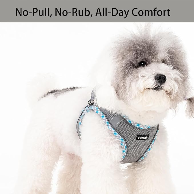Petank Dog Harness for Small Medium Dogs No Pull, Puppy Harness and Leash Set for Walking, Running, Training, Small Dog Harness, Medium Dog Harness (Grey, S) - Image 2