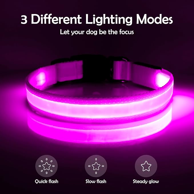 VIZPET LED Dog Collar, Light up Dog Collar Adjustable Safety Glowing Collar | USB Rechargeable Super Bright Light Collars for Dogs (Purple, Large[18.89-23.62 inch/48-60cm]) - Image 3