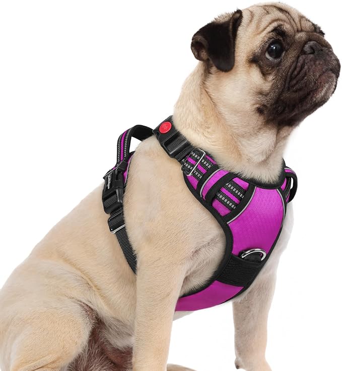 rabbitgoo Dog Harness Small Sized, No Pull 3 Buckles Easy On & Off | Soft Padded, Walking with Control Handle, Adjustable and Reflective, Purple, Small by rabbitgoo