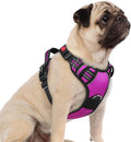 rabbitgoo Dog Harness Small Sized, No Pull 3 Buckles Easy On & Off | Soft Padded, Walking with Control Handle, Adjustable and Reflective, Purple, Small by rabbitgoo