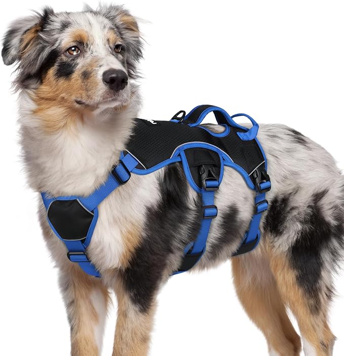 rabbitgoo Escape Proof Dog Harness for Medium, No Pull with Lift Handle | No Escape, Full Soft Padded, Reflective Adjustable Vest, Leash Clip for Walking Hiking Training, Blue & Black, Medium by rabbitgoo