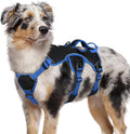 rabbitgoo Escape Proof Dog Harness for Medium, No Pull with Lift Handle | No Escape, Full Soft Padded, Reflective Adjustable Vest, Leash Clip for Walking Hiking Training, Blue & Black, Medium by rabbitgoo