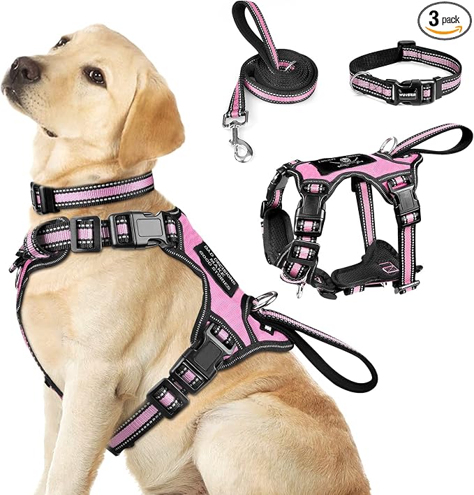 Pet Harness Collar and Leash Set, All-in-one Reflective Dog Harness No Pull with Adjustable Buckles for Puppies, Small, Medium, Large, and Extra-Large Dogs (Large, Pink) by WINSEE