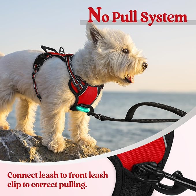 rabbitgoo Dog Harness, No Pull for Small Dogs with 2 Leash Clips, Pet Vest | No Choke, Adjustable, Breathable Padded, 2 Lead Rings, Reflective, Easy Control for Walking Training, XS, Red - Image 5