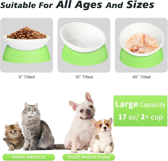 Elevated Cat Bowl, Adjustable Raised Slanted Food Bowl for Cats and Small Dogs, Wide Shallow PP Dish with TPR Non Slip Base, Whisker Friendly, 17 oz - Image 3