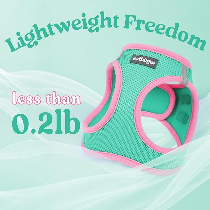 rabbitgoo Dog Harness Small Sized and Leash Set, Step in Soft Vest | Breathable Mesh, Easy Wear with Hook & Loop, Light and Reflective for Walking, Multi-colored, Teal & Pink, XXS - Image 7