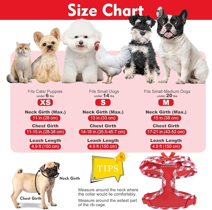 EXPAWLORER Step-in Dog Harness Small Sized and Leash Set | Cute Small Dog Harness No Pull Girl, Breathable Soft Mesh Padded, Adjustable Light Puppy Vest for Dogs Cats, Red S - Image 4
