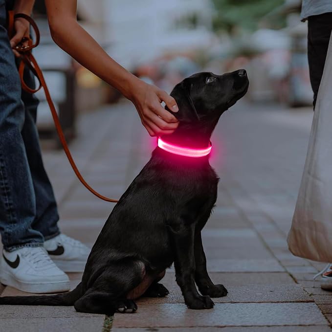 Illumifun Rechargeable LED Dog Collar, Waterproof Light Up Dog Collars Glow in the Dark, Adjustable Safety Collar Light for Dogs Walking Camping (Pink, Medium) - Image 5