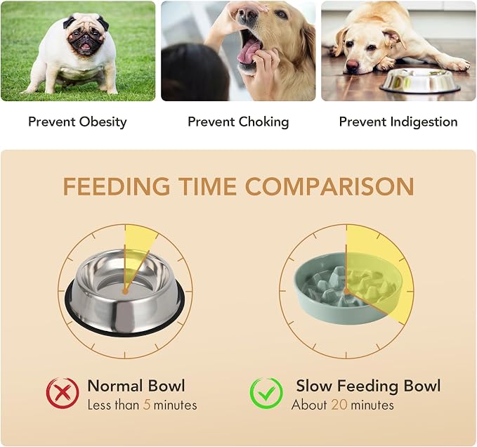 Havniva Dog Bowls Slow Feeder, Ceramic Slow Feeder Dog Bowls for Fast Eater | 3.2 Cups Dog Food Bowl Puzzle Feeder, Slow Feeding Bowls for Large Dogs, Non-Slip Base, Anti-Choking - Image 5