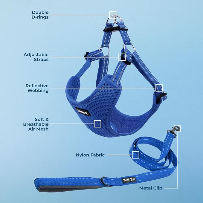 Best Pet Supplies Voyager Adjustable Step-in Flex Breathable Mesh Dog Harness for Small Medium Large Dogs Leash Set (Royal Blue), XS - Image 3