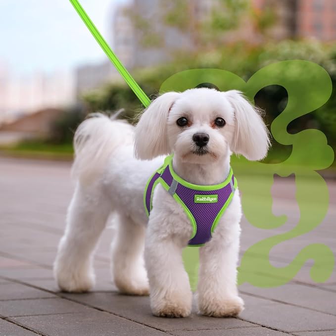rabbitgoo Dog Harness Small Sized and Leash Set, Step in Soft Vest | Breathable Mesh, Easy Wear with Hook & Loop, Light and Reflective for Walking, Multi-colored, Purple & Green, M - Image 8