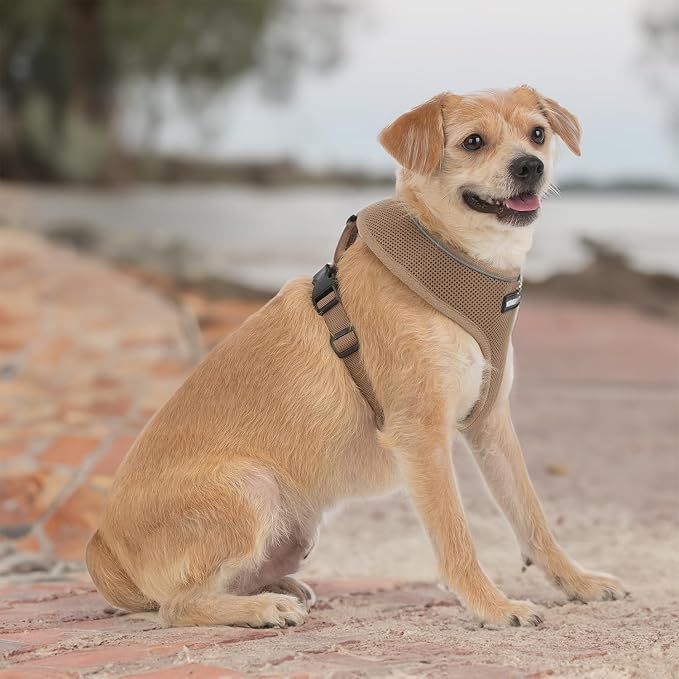 Best Pet Supplies Voyager Aerolite Over the Head Dog Harness, No Pull Breathable Air Mesh Vest, Quick Dry with Reflective Stitching, Adjustable Escape Resistant Harness - Beige, Medium - Image 6