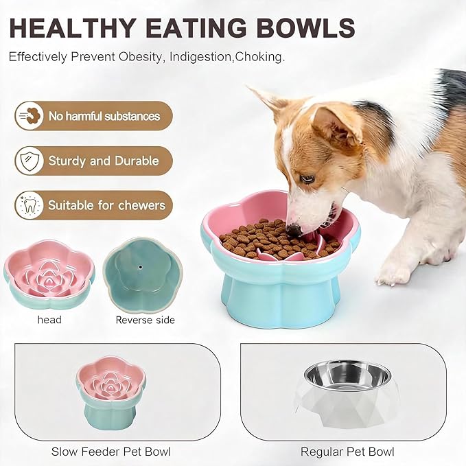 Ceramic Raised Slow Feeder Cat Bowl,Cat Slow Feeder, | Tilted Feeding Dish,Whisker-Friendly, Indoor Cats Food Bowl Small Dogs Slow Feeder for Dry and Wet Food - Image 3