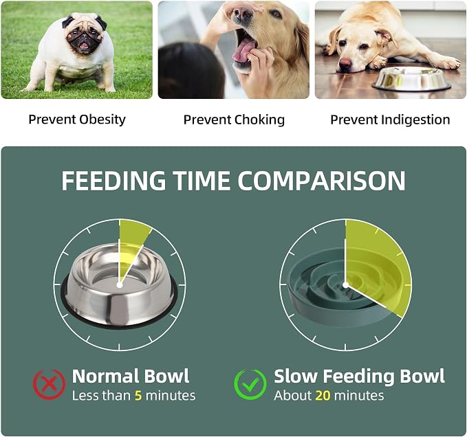 Havniva Dog Bowls Slow Feeder, Ceramic Slow Feeder Dog Bowls for Fast Eater | 1.6 Cups Dog Food Bowl Puzzle Feeder, Slow Feeding Bowls for Medium Breed, Non-Slip Base, Anti-Choking - Image 3