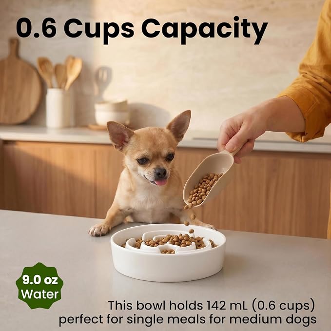 Ceramic Slow Feeder Dog Bowls 0.6 Cups for Small Fast Eaters,White | Reduces Bloating,6.02x1.38 Inch Dish For Daily Dog Meals, Maze Puzzle Slows Down Eating, Anti-Choking,9.0oz Water - Image 7