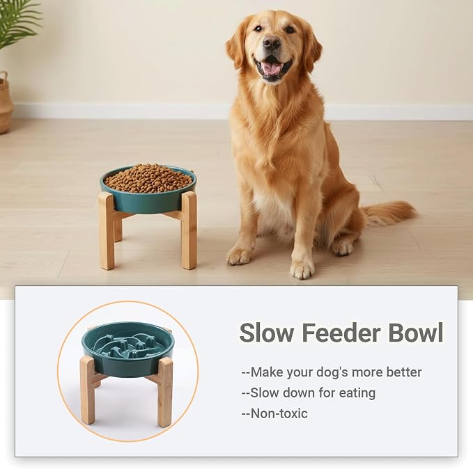 Ceramic Slow FeederDog Bowl for Medium Large Dogs,Heavy Weighted,Puzzle Eating Bowl Modern Maze (Stars Mark-Forest Green, 8.66in) - Image 5
