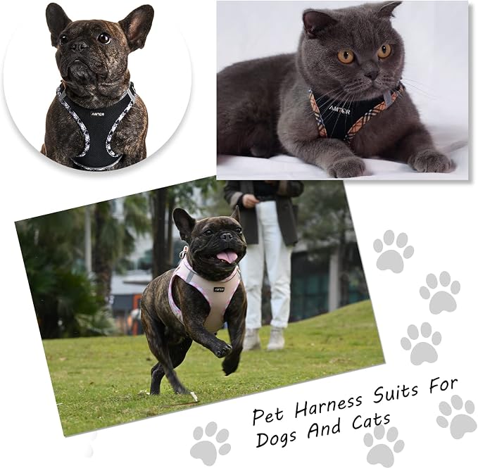 AMTOR Small Dog Harness with Leash Set, No Escape Easy Walk Puppy Harnesses for Training Walking, Step-in Reflective Soft Dogs Vest for XS S Medium Extra-Small Large Sized Dog(Pink,XL) - Image 5