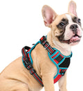 Eagloo Dog Harness No Pull for Medium Dogs, Easy On & Off with 3 Buckles | No Choke with Front Clip, Adjustable Fit, MOLLE System, Reflective Vest, Easy Control for Walking, Red & Teal, Medium by GoExplorewithEagloo