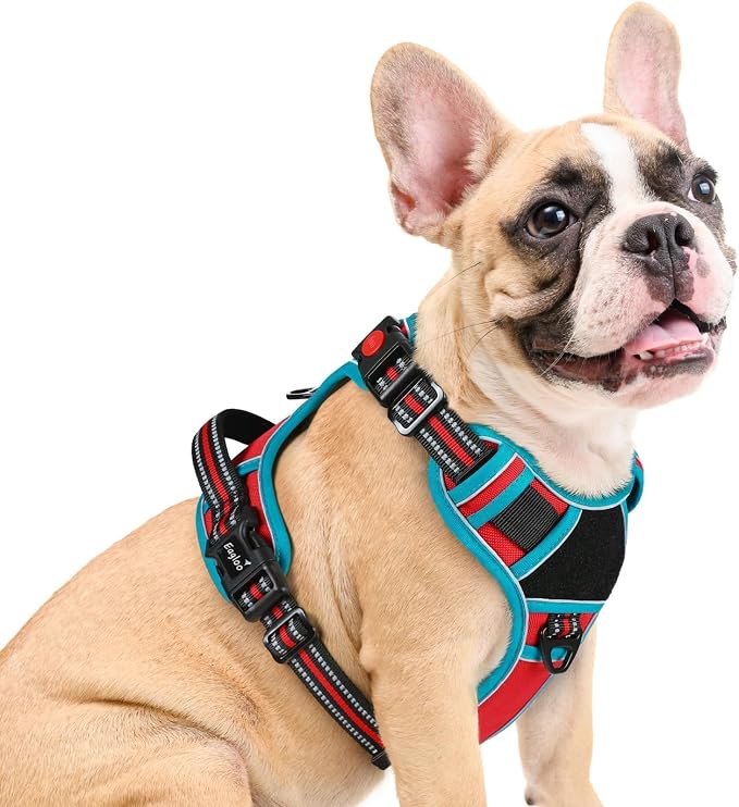 Eagloo Dog Harness No Pull for Medium Dogs, Easy On & Off with 3 Buckles | No Choke with Front Clip, Adjustable Fit, MOLLE System, Reflective Vest, Easy Control for Walking, Red & Teal, Medium by GoExplorewithEagloo