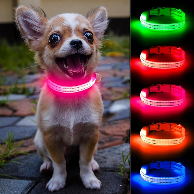 Light Up Collar for Small Dogs& Cats, Reflective LED Dog Collar Rechargeable Puppy Safety Lights for Nighttime Walking (Pink) by DOMIGLOW