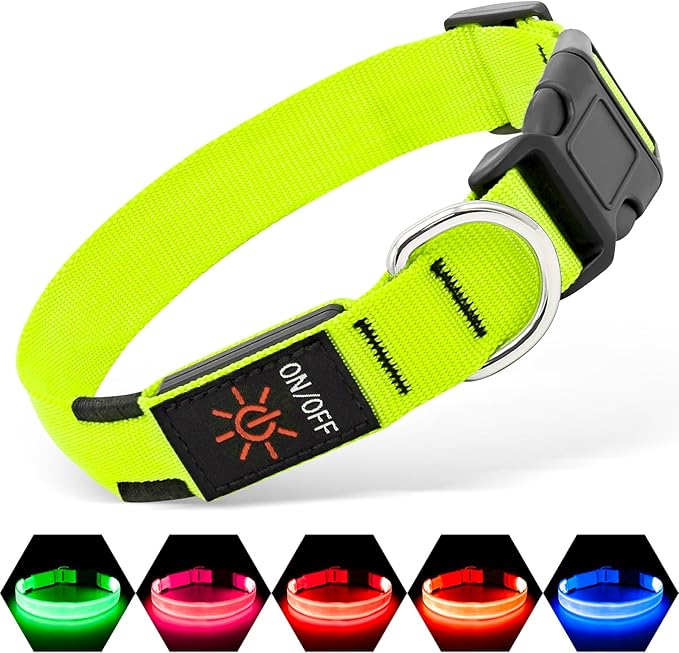 Illumifun LED Collar for Small Dogs, USB Rechargeable Light Up Dog Collar, Flashing Pet Safety Light Glow in the Dark (Green, Small) by Illumifun
