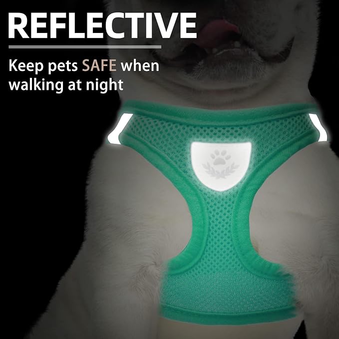 PUPTECK Dog Harness, Collar and Leash Set No Pull for Small Medium Sized | Soft Mesh Puppy Step-in Escape Proof Reflective No Choke Pet Cat Adjustable Walking Vest - Image 4