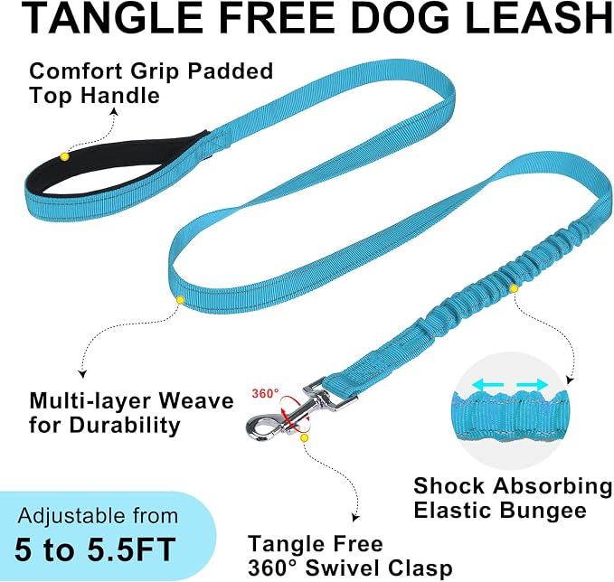 BEAUTYZOO Small Dog Harness and Leash Set, No Pull Step in Puppy Vest | Breathable Mesh with Handle, Reflective, Adjustable No Choke Escape Proof, Lightweight, Easy Control for Walking, Blue XS - Image 6