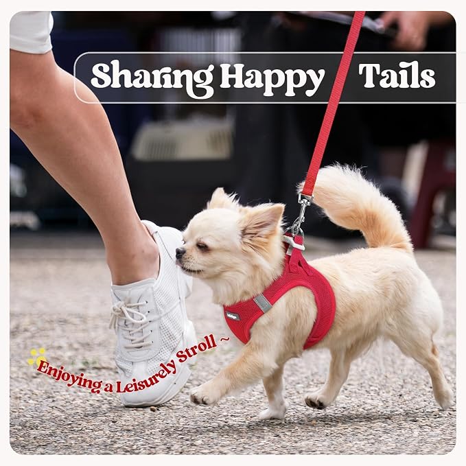 rabbitgoo Dog Harness Small Sized and Leash Set, Step-in Puppy Pet Vest | Light, Soft, Breathable Air Mesh, Easy on and Remove with Hook & Loop, Secure Reflective for Walking, Red S - Image 9